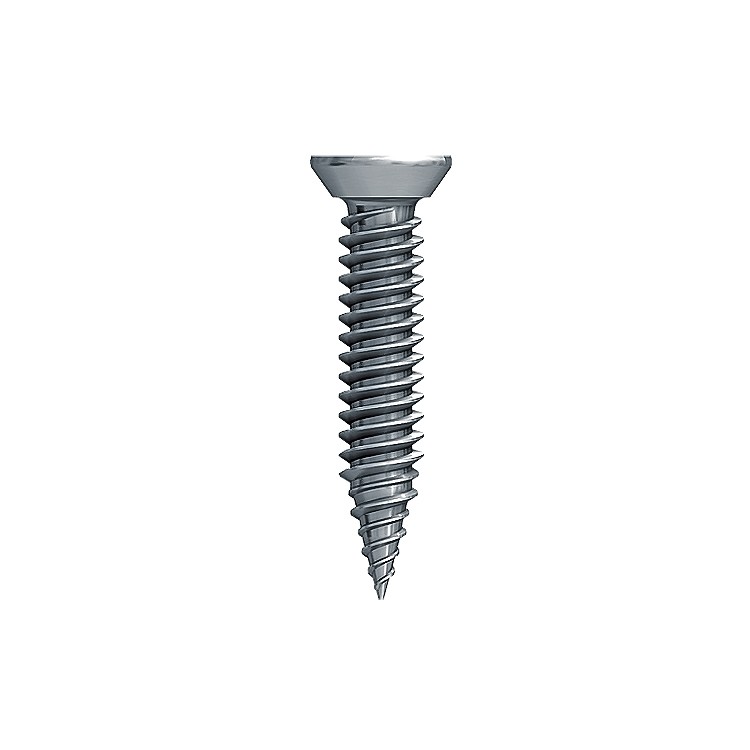 A stainless steel 8×25mm screw with a threaded shaft and sharp point, for general-purpose fastening applications.