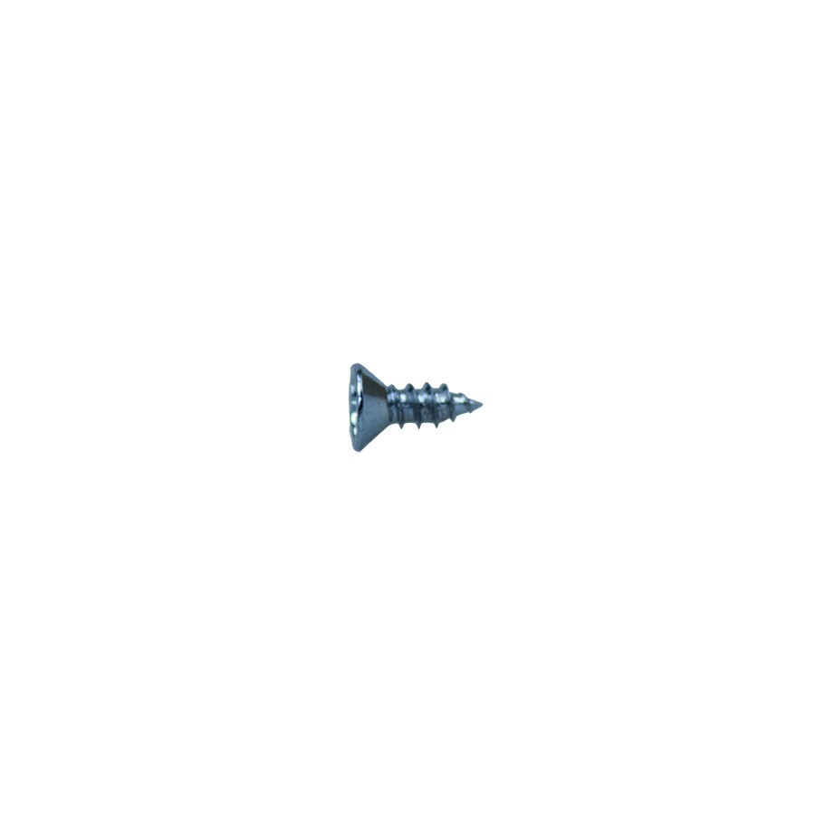 A bright zinc plated countersunk head screw with a threaded shaft and sharp point, for general-purpose fastening applications.