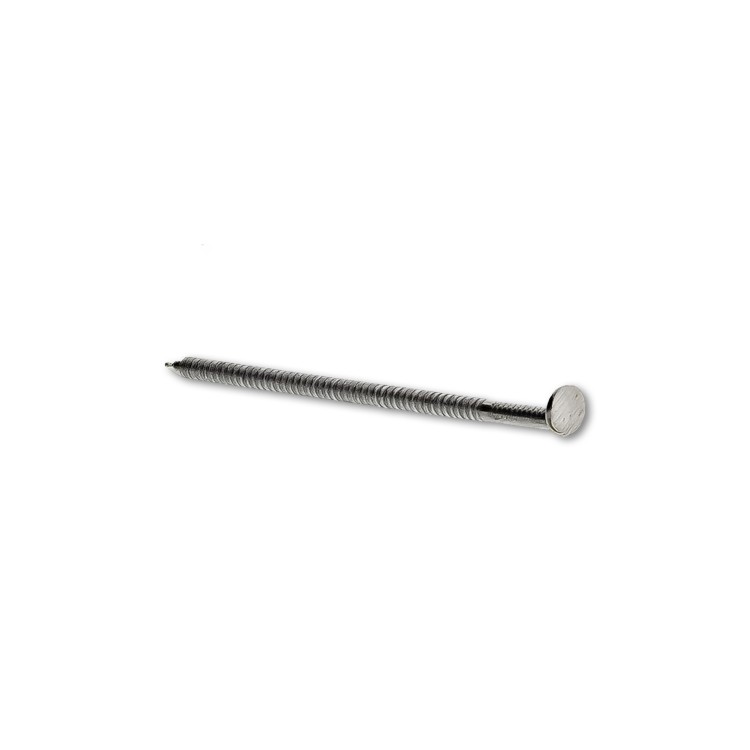 A single silver metal nail with a round flat head and a pointed tip, isolated on a white background.