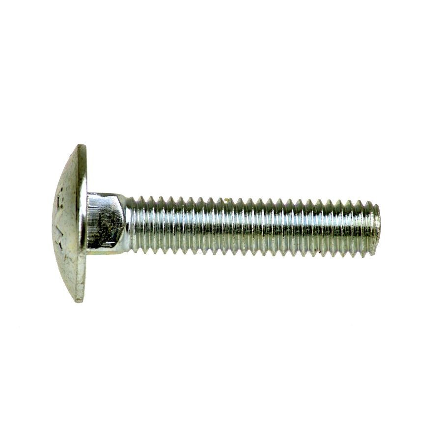 Coachbolt M10 Cup Square Bolt A2 Stainless Steel 25 Pack