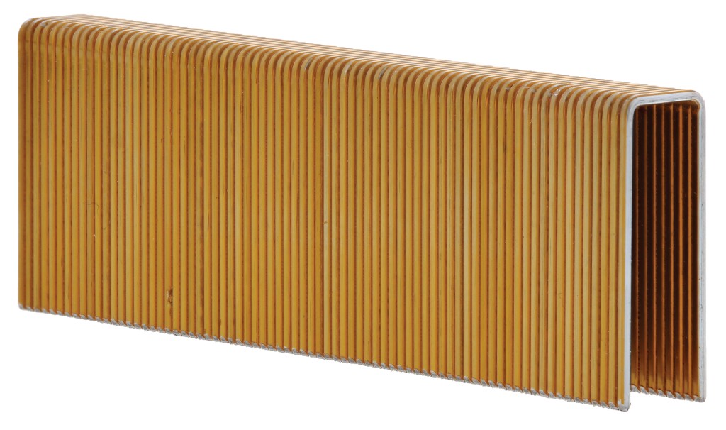 A galvanised wire nail with a flat head and a smooth shank, for general-purpose timber fastening.