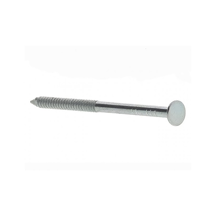 A stainless steel wire nail with a flat head and a smooth shank, for general-purpose timber fastening.