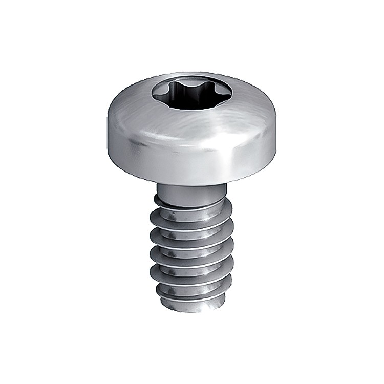 A steel screw with a threaded shaft and sharp point, for general-purpose fastening applications.