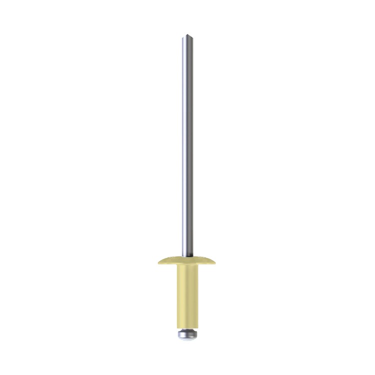 A product picture of CHROMAFIX Dome Head Rivets painted in RAL 1015,