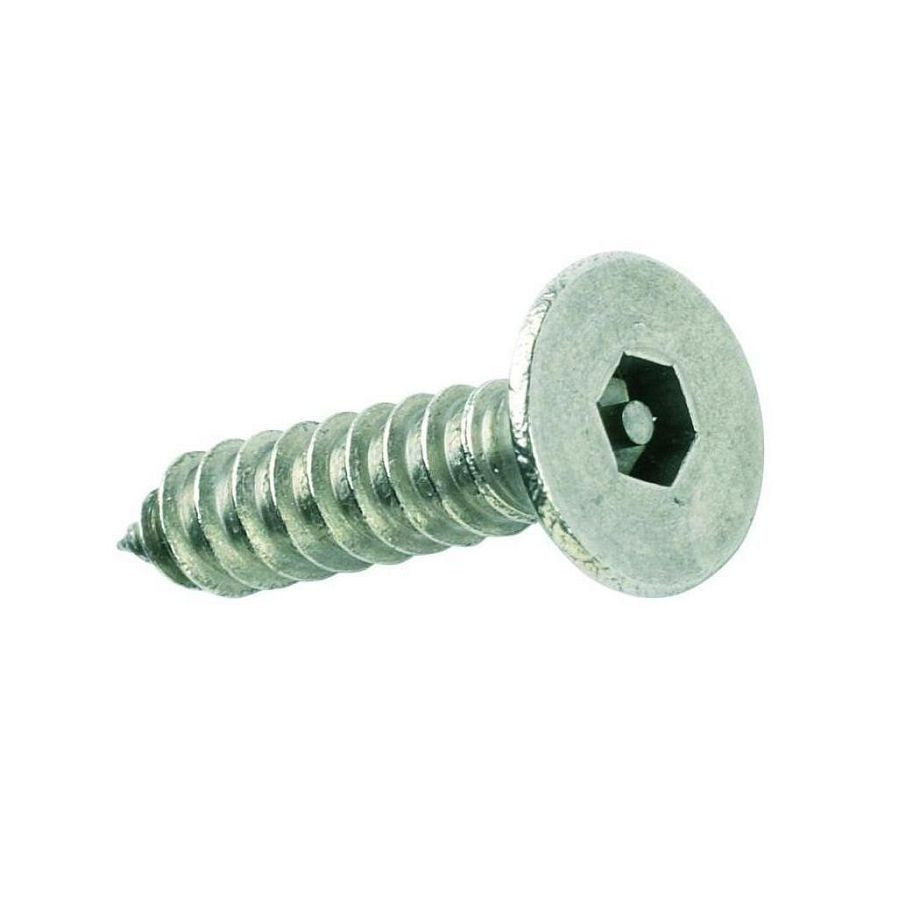 Security Hex Pin Countersunk Stainless Steel S/Tapper 100 Pack