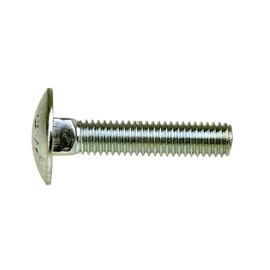 Coachbolt M6 Cup Square Bolt A2 Stainless Steel 50 Pack