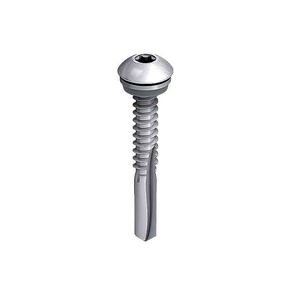 A single silver metal screw with a round head and a hexagonal socket, featuring a threaded shaft and a pointed tip, isolated on a white background.
