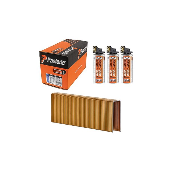 A box of Paslode nails, three orange fuel cell cartridges, and a stack of gold-colored nails arranged in a row on a white background.