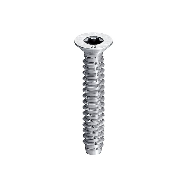 A steel screw with a threaded shaft and sharp point, for general-purpose fastening applications.