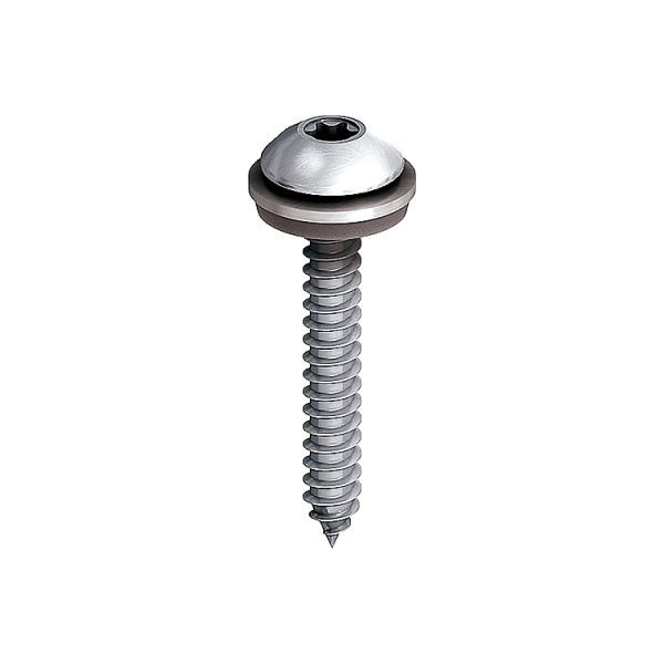 A steel screw with a threaded shaft and sharp point, for general-purpose fastening applications.