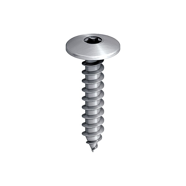 A steel screw with a threaded shaft and sharp point, for general-purpose fastening applications.