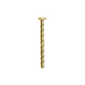 A single gold-colored screw with a hexagonal head and spiral threads, shown vertically against a plain white background.