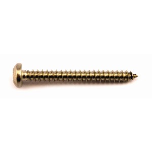 A stainless steel screw with a threaded shaft and sharp point, for general-purpose fastening applications.