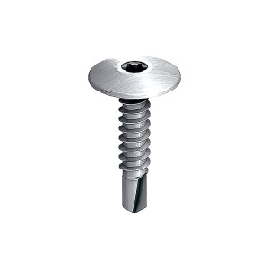 A steel 5.5×25mm self-drilling screw with a sharp drill-point tip and spiral threads along the shaft, suitable for fixing into steel framing.