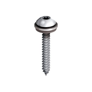 A steel screw with a threaded shaft and sharp point, for general-purpose fastening applications.