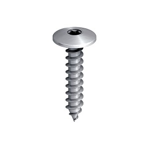 A steel screw with a threaded shaft and sharp point, for general-purpose fastening applications.
