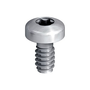A steel screw with a threaded shaft and sharp point, for general-purpose fastening applications.