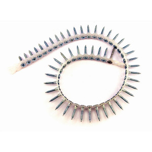 A bright zinc plated drywall screw with a bugle head and fine threads, designed for fixing plasterboard to timber or metal studwork.
