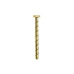 A single gold-colored screw with a hexagonal head and spiral threads, shown vertically against a plain white background.