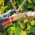 A person wearing black gloves uses a handsaw with a red handle to cut through a tree branch, with wood shavings flying against a background of green and yellow leaves.