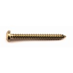 A stainless steel screw with a threaded shaft and sharp point, for general-purpose fastening applications.