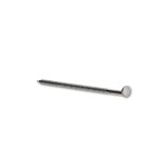 A single silver metal nail with a round flat head and a pointed tip, isolated on a white background.