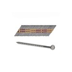 A galvanised ring-shank nail with annular rings along the shaft for enhanced withdrawal resistance in timber framing.,