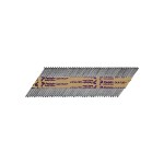 A hot-dip galvanised ring-shank nail with annular rings along the shaft for enhanced withdrawal resistance in timber framing.,