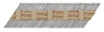 A hot-dip galvanised ring-shank nail with annular rings along the shaft for enhanced withdrawal resistance in timber framing.,