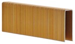 A galvanised wire nail with a flat head and a smooth shank, for general-purpose timber fastening.