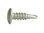 A steel 5.5×25mm self-drilling screw with a sharp drill-point tip and spiral threads along the shaft, suitable for fixing into steel framing.
