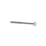 A stainless steel wire nail with a flat head and a smooth shank, for general-purpose timber fastening.