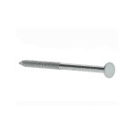 A stainless steel wire nail with a flat head and a smooth shank, for general-purpose timber fastening.