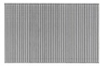 A strip of collated galvanised framing nails with angled tips, connected in a paper or plastic tape strip for use in a nail gun.