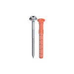 A silver screw with a hexagonal and star-shaped head is shown standing upright next to a red plastic wall plug, both on a white background.