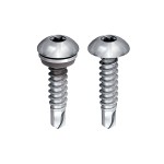 A steel 4.8×19mm self-drilling screw with a sharp drill-point tip and spiral threads along the shaft, suitable for fixing into steel framing.