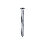 A steel screw with a threaded shaft and sharp point, for general-purpose fastening applications.