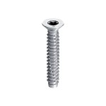 A steel screw with a threaded shaft and sharp point, for general-purpose fastening applications.