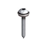 A steel screw with a threaded shaft and sharp point, for general-purpose fastening applications.