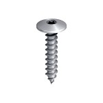 A steel screw with a threaded shaft and sharp point, for general-purpose fastening applications.
