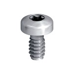 A steel screw with a threaded shaft and sharp point, for general-purpose fastening applications.
