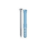 A silver screw with a flat Phillips head is standing upright next to a blue plastic wall plug, both shown against a white background.