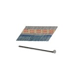 A hot-dip galvanised wire nail with a flat head and a smooth shank, for general-purpose timber fastening.