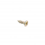 A single metal wall anchor screw with a flat, wide head and a pointed tip, isolated on a white background.