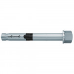 Fischer FH II-H High Performance Anchor with Domed Cap Nut