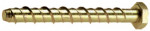 A close-up image of a gold-colored hex head screw with coarse threads, positioned horizontally on a white background.