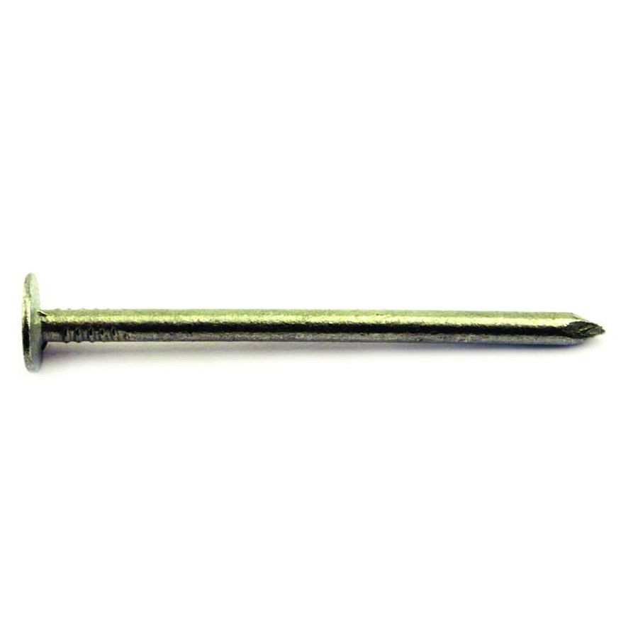 A single metallic nail with a flat head and pointed tip, displayed horizontally on a white background.