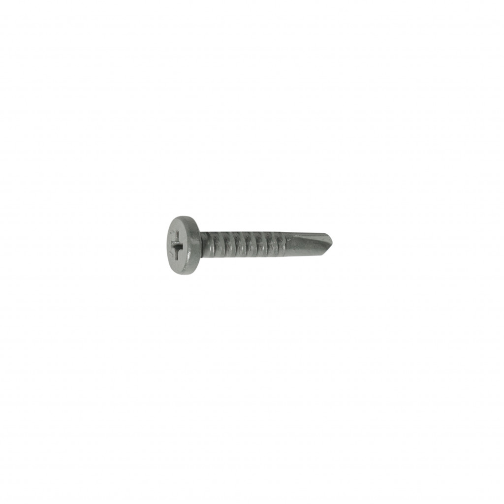 A single metal screw with a flat, slotted head and a pointed, threaded body is centered on a plain white background.