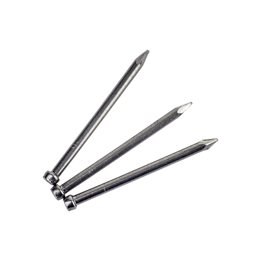 Nails Stainless Lost Head Round Wire 1kg