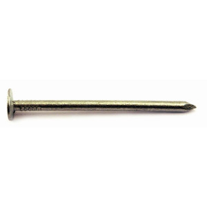 A single metal nail with a flat round head and a pointed tip, lying horizontally on a white background.